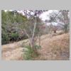 DSCN8728.JPG