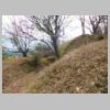 DSCN8729.JPG