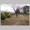 DSCN8730.JPG