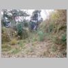 DSCN8733.JPG