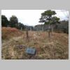 DSCN8735.JPG
