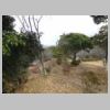 DSCN8740.JPG