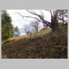 DSCN8748.JPG