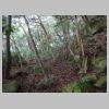 DSC04340.JPG