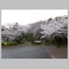 DSCN0184.JPG