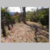 DSCN9120.JPG