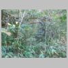 DSCN9127.JPG