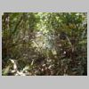 DSCN9129.JPG