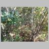DSCN9130.JPG