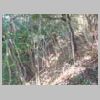 DSCN9133.JPG