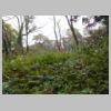 DSCN8936.JPG
