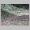 DSCN8938.JPG