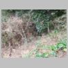 DSCN8951.JPG