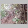 DSCN8954.JPG