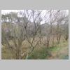 DSCN8959.JPG