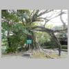 DSCN9007.JPG