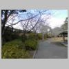DSCN9012.JPG