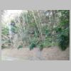 DSCN9018.JPG