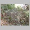 DSCN8979.JPG