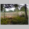 DSCN8990.JPG