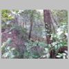 DSCN8998.JPG