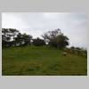 DSCN3988.JPG