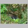DSCN4235.JPG