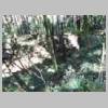 DSCN8417.JPG