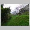 DSCN8690.JPG