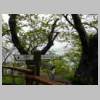 DSCN9087.JPG