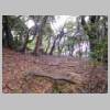 DSCN9105.JPG