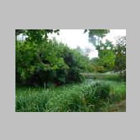 DSCN8400.JPG