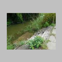 DSCN8410.JPG