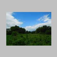 DSCN8413.JPG