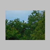 DSCN8414.JPG