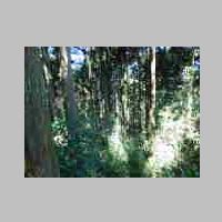 DSCN8877.JPG