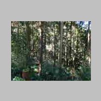 DSCN8878.JPG