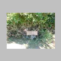 DSCN8886.JPG