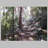 DSCN9018.JPG