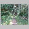 DSCN9020.JPG
