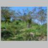 DSCN9022.JPG