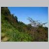 DSCN9024.JPG