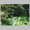 DSCN9032.JPG
