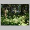 DSCN9033.JPG