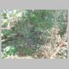 DSCN9035.JPG