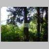 DSCN9036.JPG