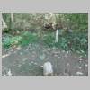 DSCN9039.JPG