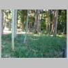 DSCN9077.JPG