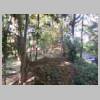DSCN9086.JPG