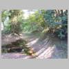DSCN9087.JPG